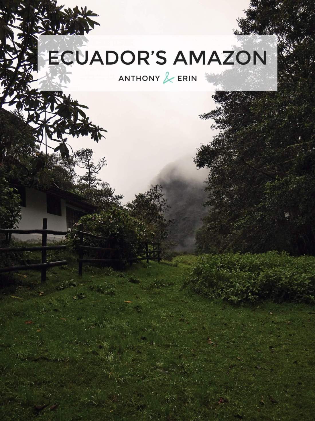 Ecuador's Amazon